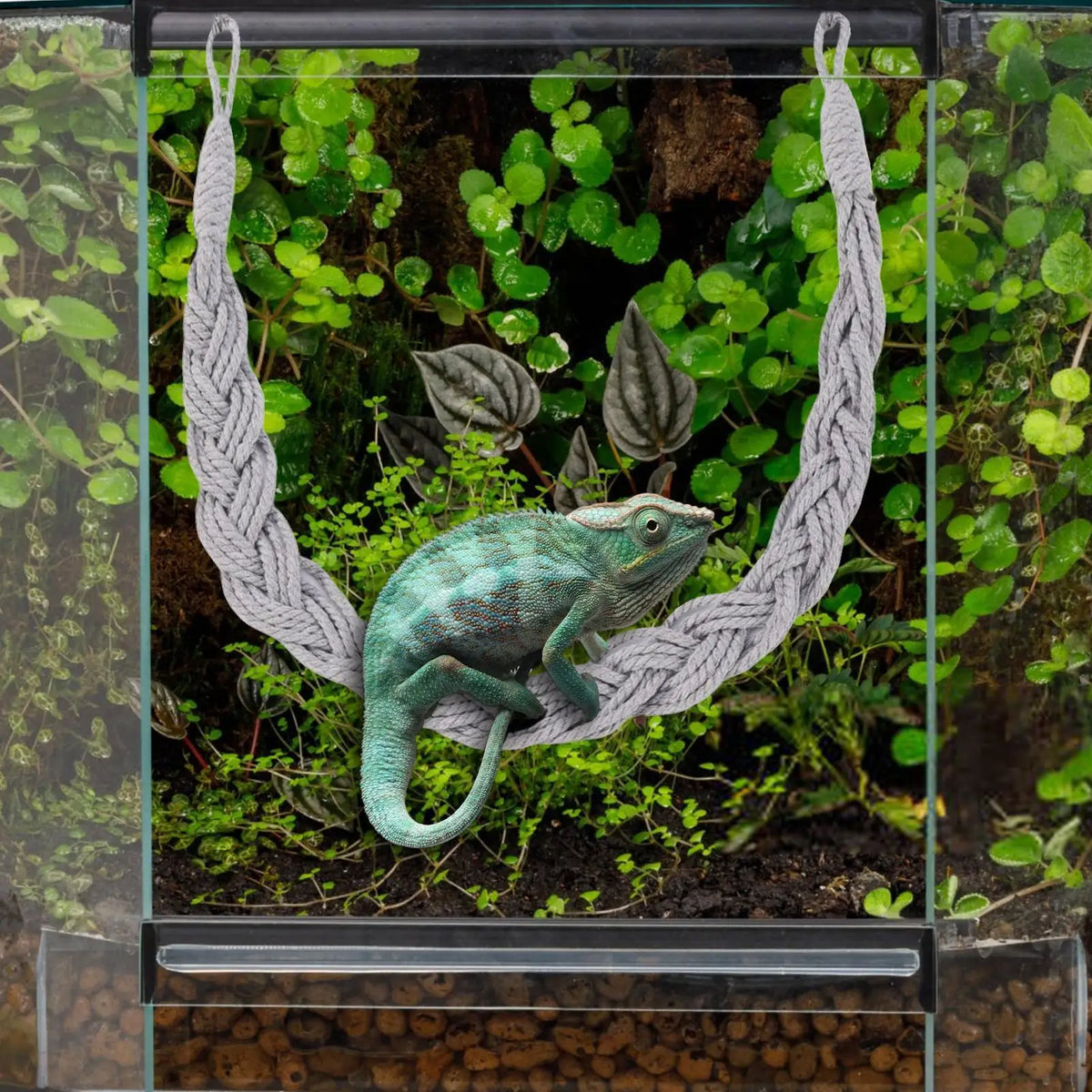 Hermit Crab Jute Rope Ladder – Reptile Tank Climbing Toy