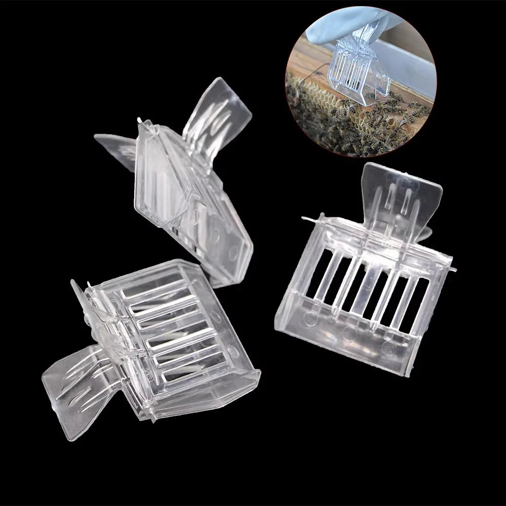 Queen Bee Catcher Clip Cage | Beekeeping Tool 1 or 5 Pcs