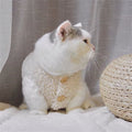 Fleece Winter Warm Pet Sweatshirt Vest for Cats & Small Dogs Pet Apparel Nixie Beige-2XL