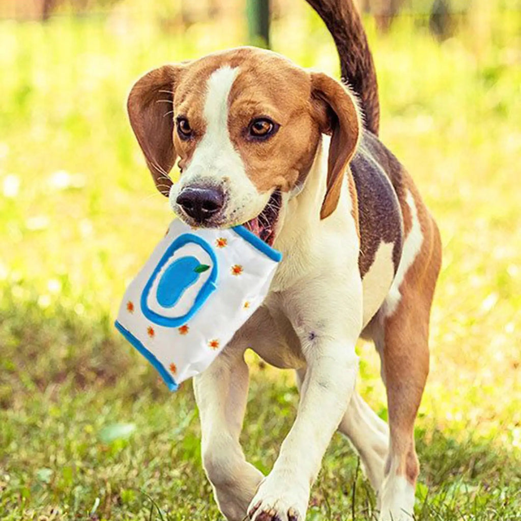 Dog Snuffle Tissue Box Toy – Slow Feeding Puzzle Mat Dog Puzzle Toy Nixie