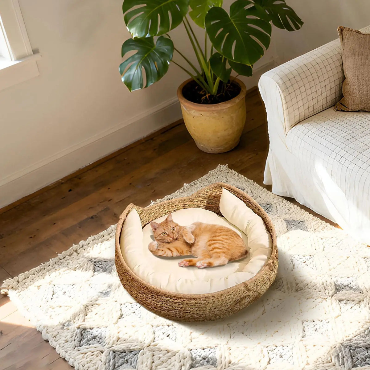 Woven Cat Bed with Cushion & Pillow – All Season Pet Nest