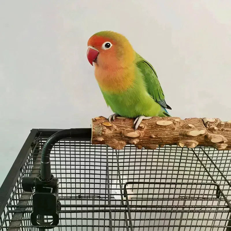 Clip-On Bird Potty Training Perch | Natural Wood Adjustable Bird Training Perch Nixie