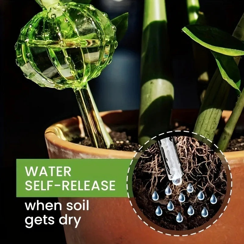 Cactus Self-Watering Globe – Auto Drip Irrigation Plant Feeder Self-Watering Globe Nixie