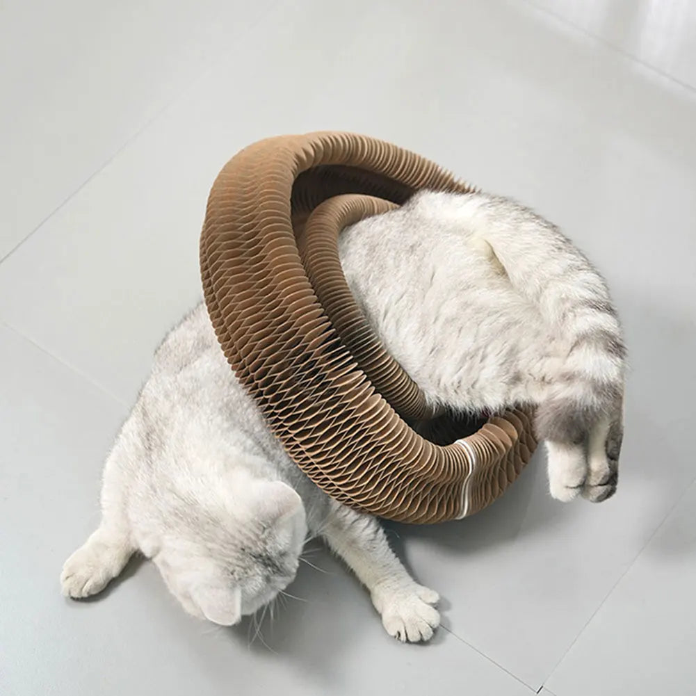 Foldable Accordion Cat Scratching Board & Interactive Cat Toy Cat Scratcher Toy Nixie