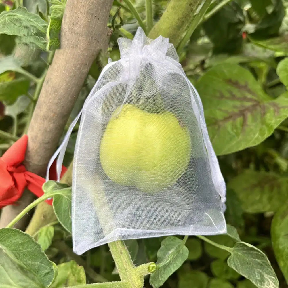 Reusable Mesh Fruit Protection Bags with Drawstring – 10–40 Pack Garden Mesh Bags Nixie