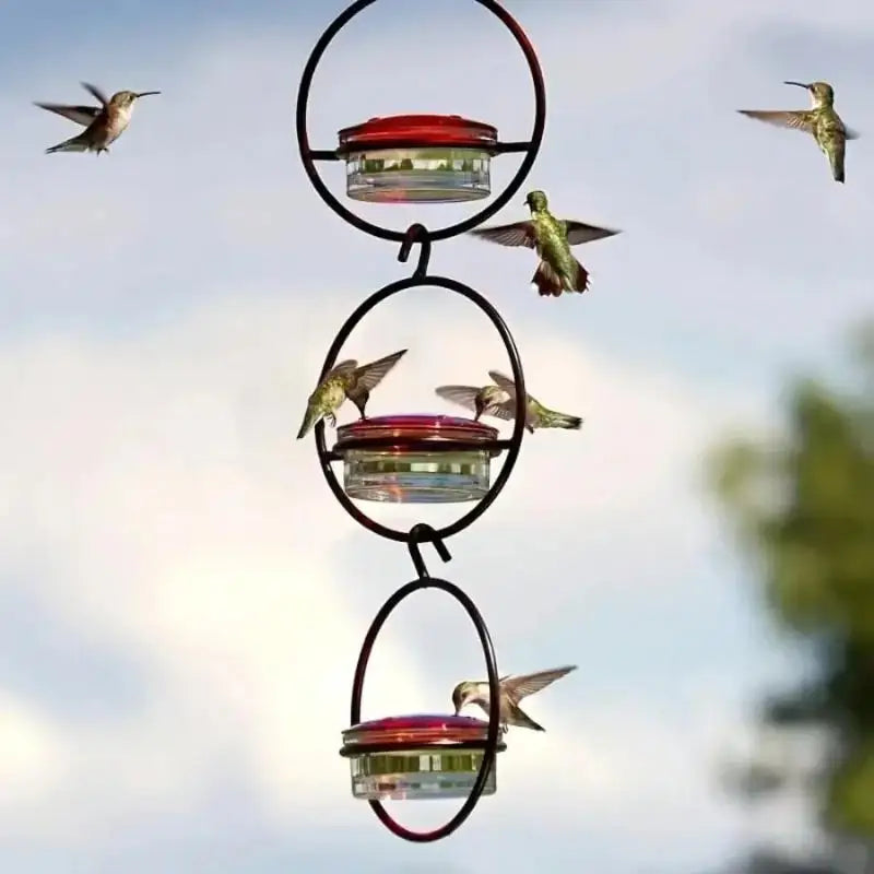 Metal Hanging Hummingbird Feeder – Red Glass Bottle & Perches Hummingbird Feeder Nixie