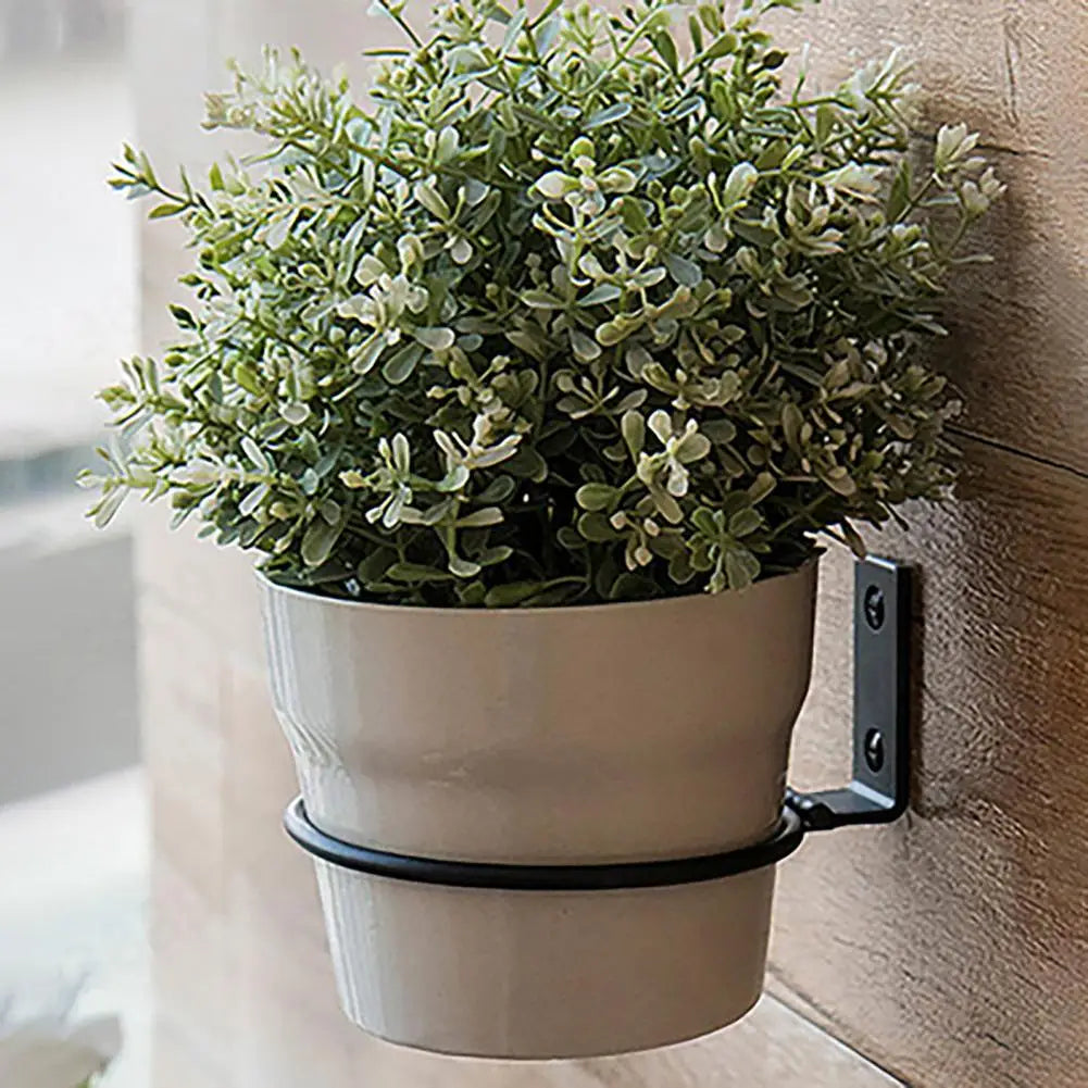 Wall Mounted Metal Flowerpot Holder Ring 4/5/6/8 Inch Sizes Flowerpot Wall Bracket Nixie