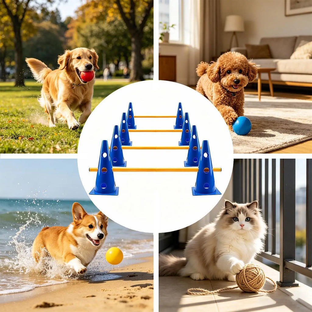 Dog Agility Obstacle Training Cone Set – Small Dogs & Puppies