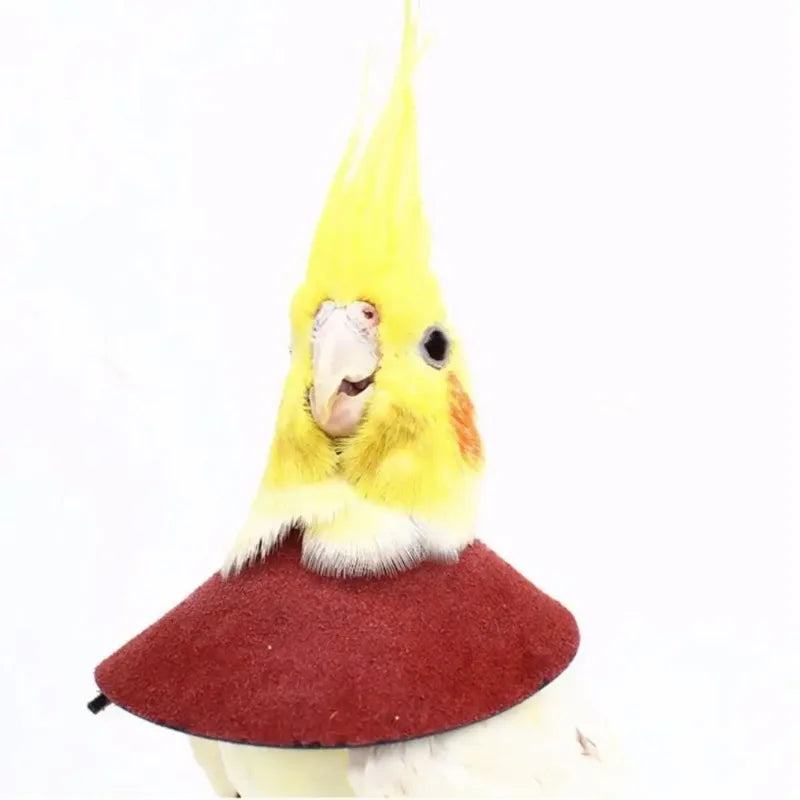 Adjustable Parrot Recovery Collar – Anti-Bite Bird Neck Sleeve Bird Recovery Collar Nixie