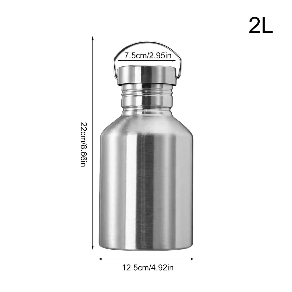 2L Stainless Steel Travel Water Bottle with Filter & Handle Sports Water Bottle Nixie