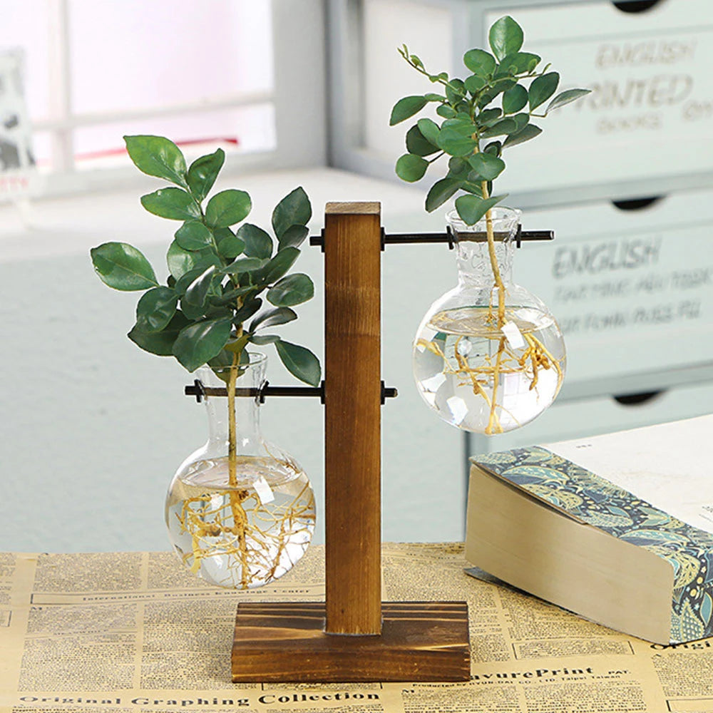 Hydroponic Glass Terrarium Vase with Wooden Stand | Desktop Decor Glass Terrarium Vase Nixie