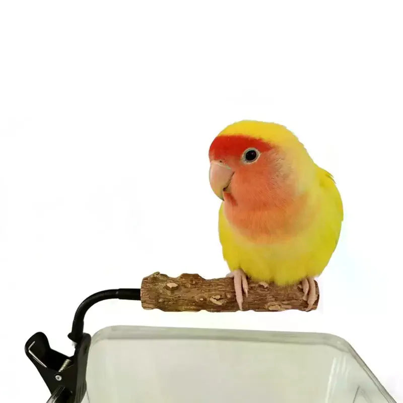 Clip-On Bird Potty Training Perch | Natural Wood Adjustable Bird Training Perch Nixie