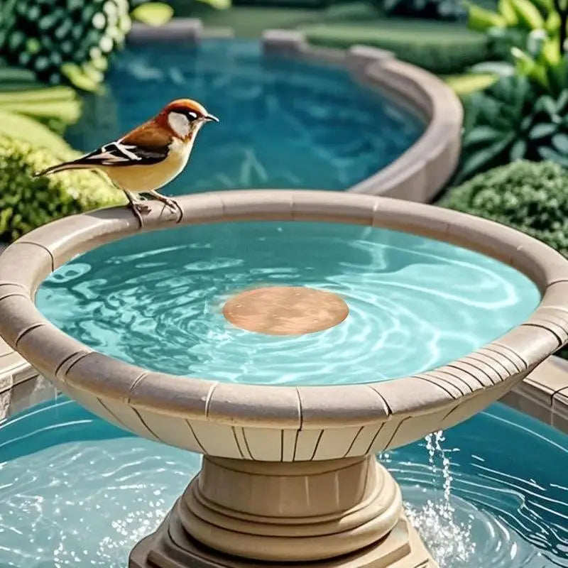 Copper Bird Bath Cleaner Disc – Natural Water Purifier & Decor Bird Bath Accessory Nixie