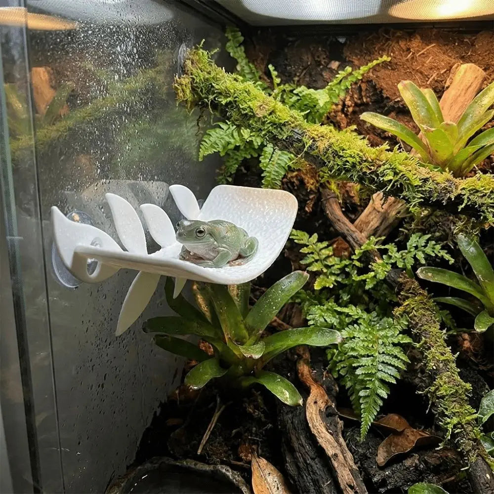 PLA Reptile Habitat Leaf with Suction Cups – Vivarium Decor Reptile Habitat Decor Nixie