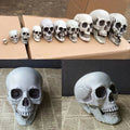 Plastic Skull Figurine Statue – Halloween Skeleton Decor