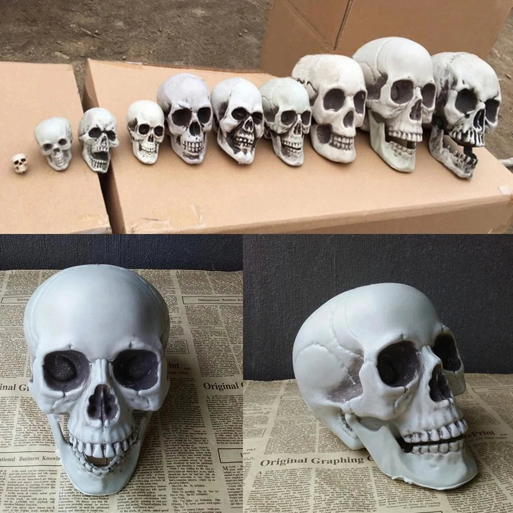 Plastic Skull Figurine Statue – Halloween Skeleton Decor