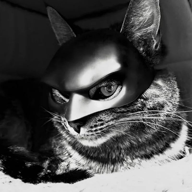 Halloween Cosplay Cat Mask – Bat, Clown & Pet Costume Masks Pet Costume Mask Nixie