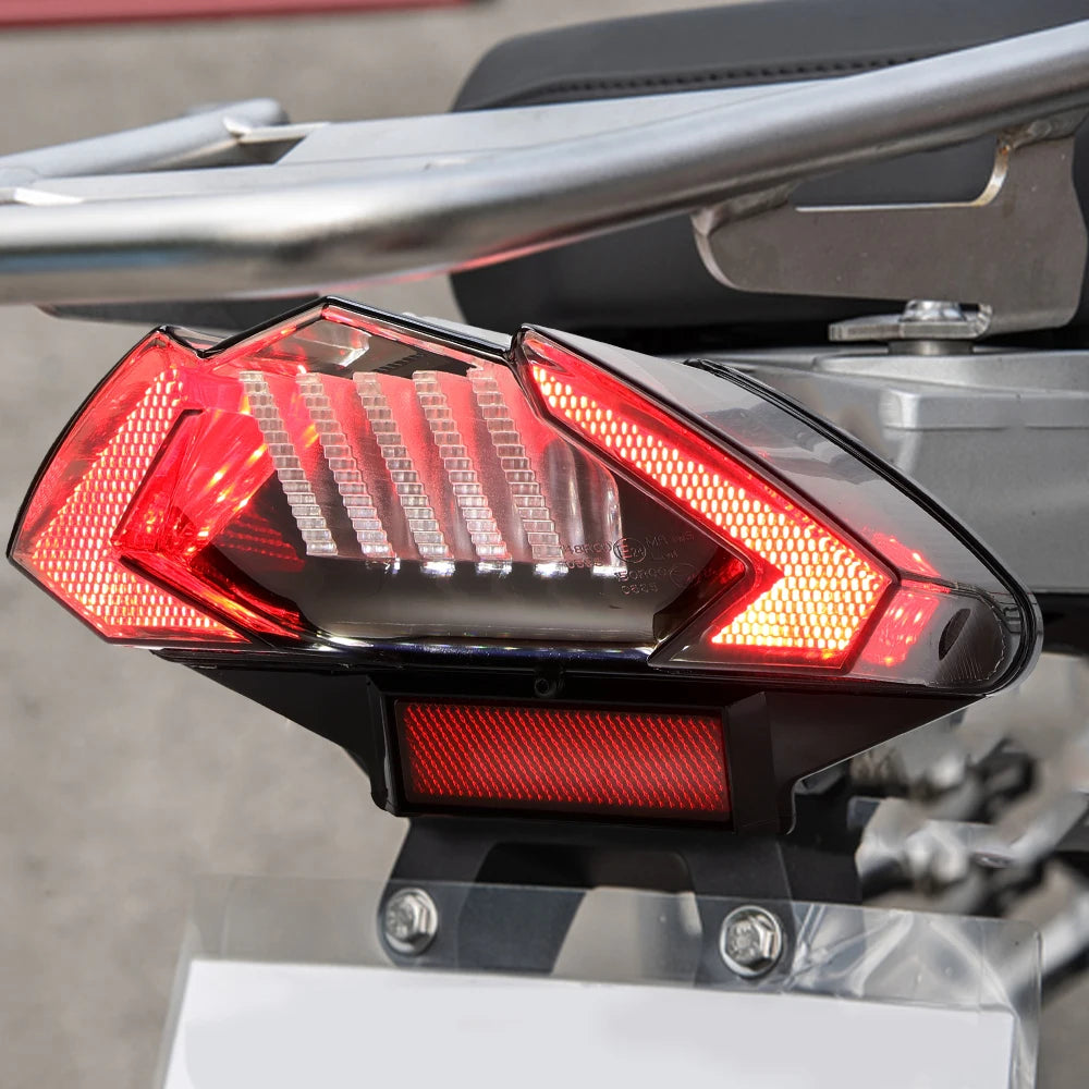 E24 LED Tail Light for BMW R1200GS F800GT F650GS Motorcycle Motorcycle Tail Light Nixie