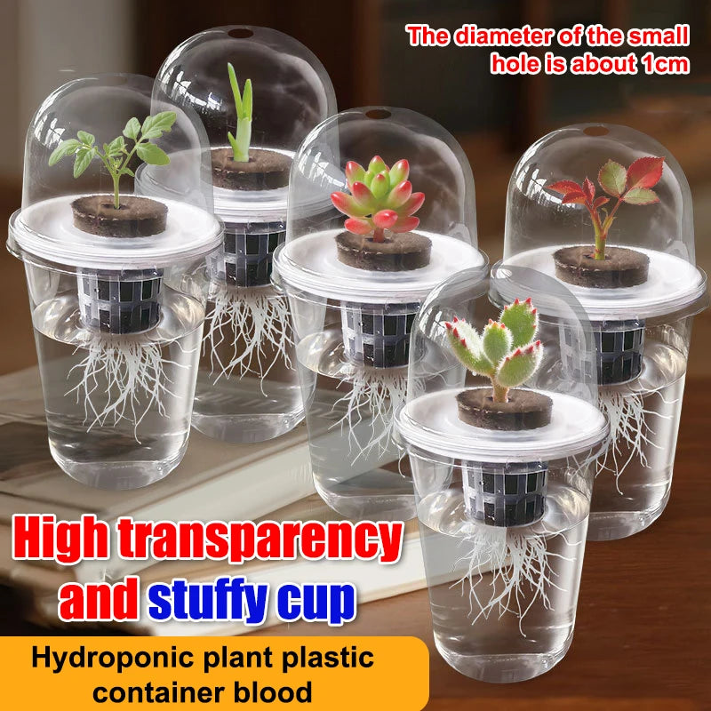 Hydroponic Planter Pots – Transparent Root View Seedling Cups Hydroponic Planter Pots Nixie