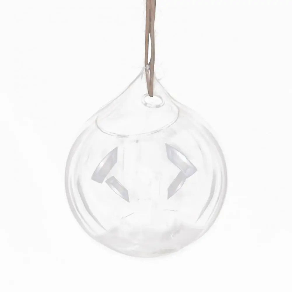 Hanging Glass Propagation Vase – Hydroponic Terrarium Planter Hanging Glass Planter Nixie 8 cm