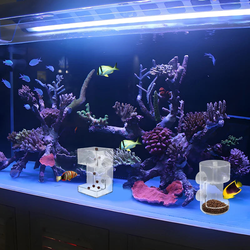 Acrylic Fish Food Holder for Fish Tank – Dish Tray & Suction Cup Aquarium Fish Feeder Nixie