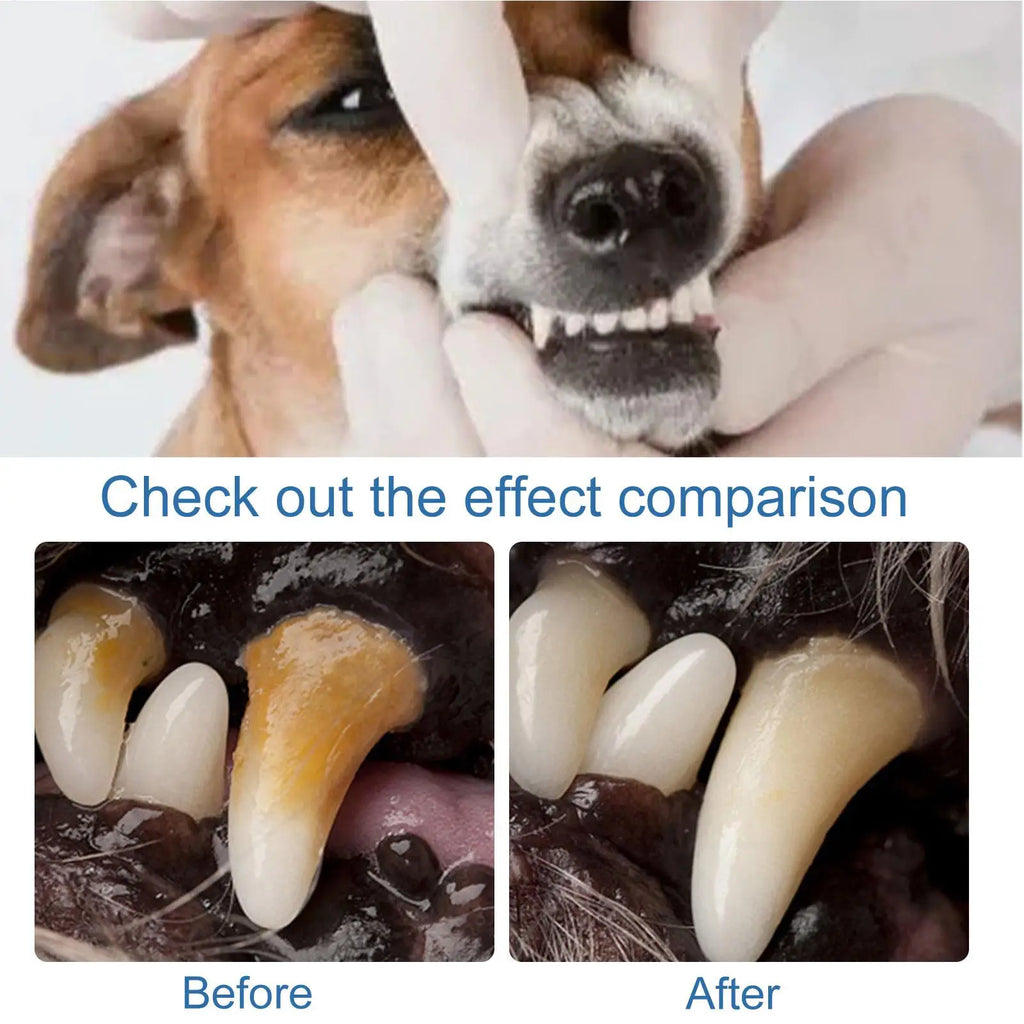 Pet Dental Foam Spray – Tartar & Bad Breath Remover for Dogs & Cats Pet Dental Spray Nixie
