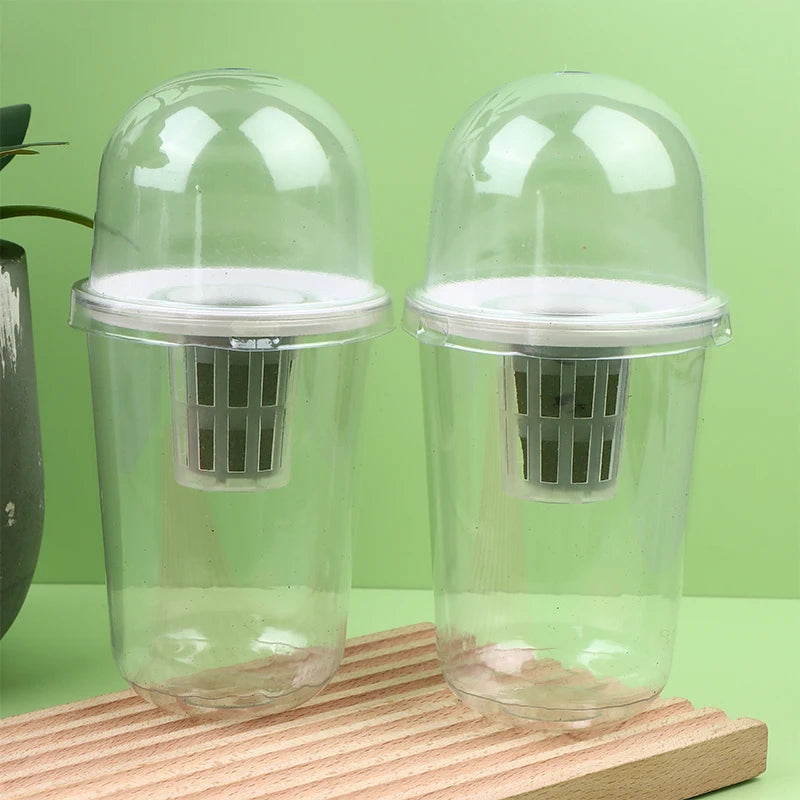 Hydroponic Planter Pots – Transparent Root View Seedling Cups Hydroponic Planter Pots Nixie