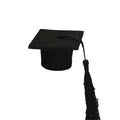 10PCS Mini Felt Tassel Graduation Hats – Party Bottle Decor Party Decoration Nixie black10pcs