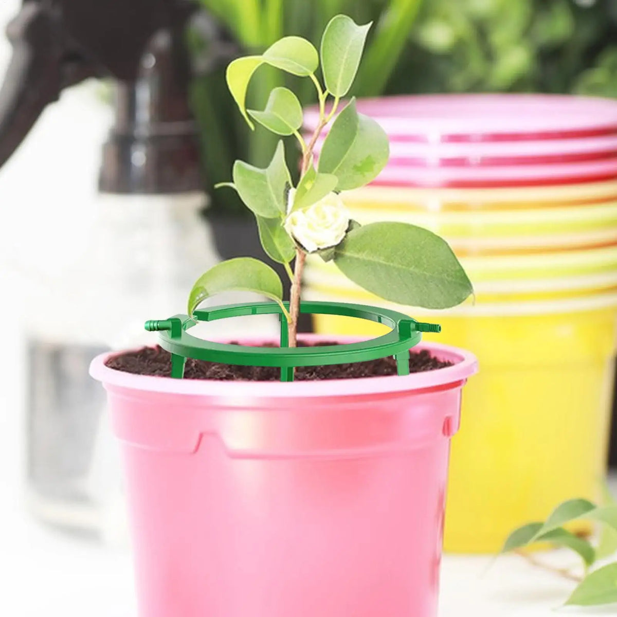 Plant Hydro Ring Drip Irrigation Kit – Root-Zone Watering