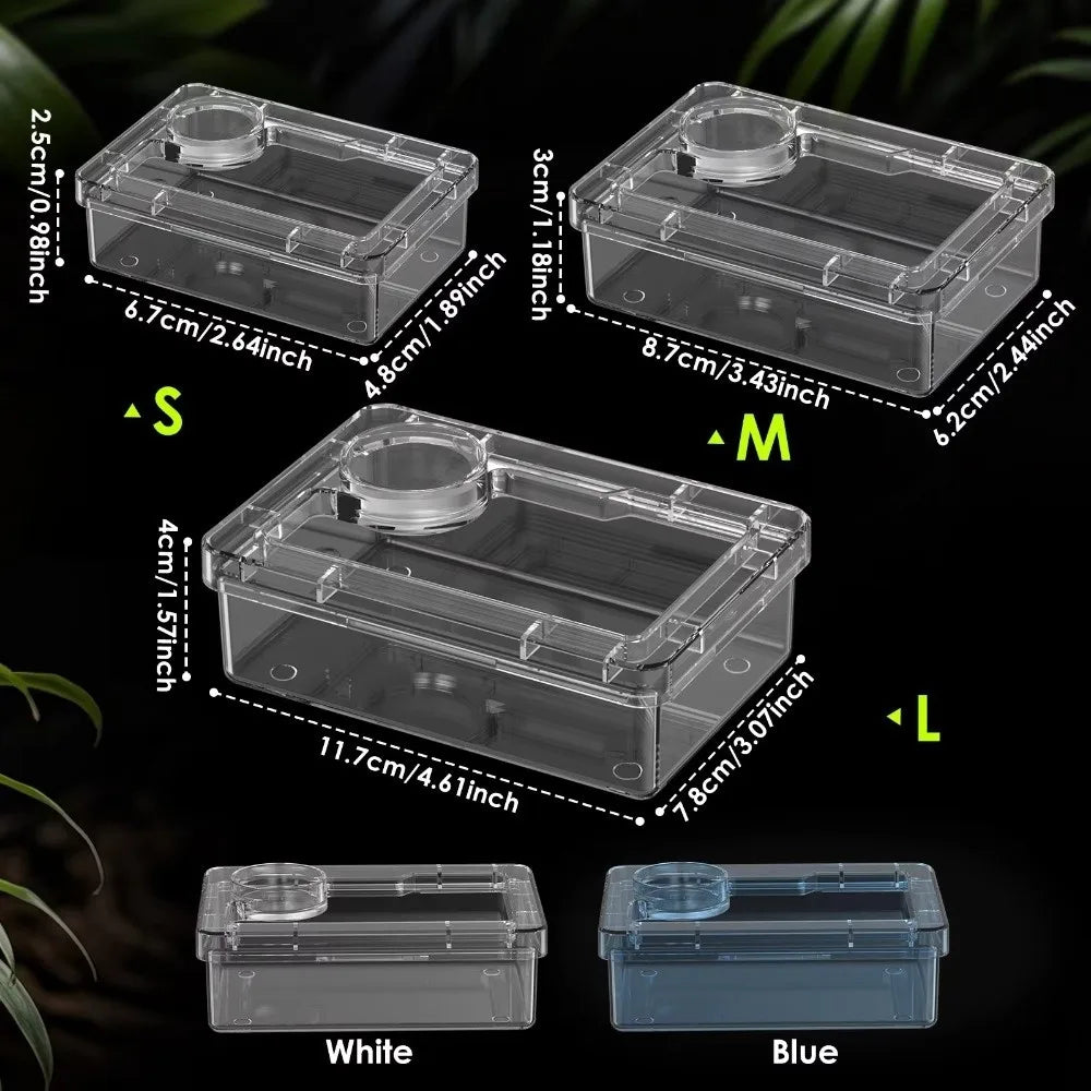 Reptile Feeding Bowls – Anti-Tip Transparent Dish for Lizards & Geckos Reptile Feeding Bowl Nixie