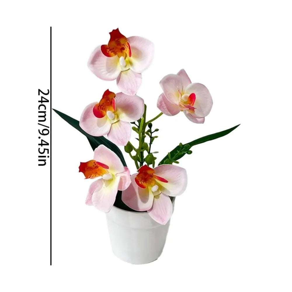 Artificial Orchid Potted Plant – 5 Blooms, Pink & White, 24cm