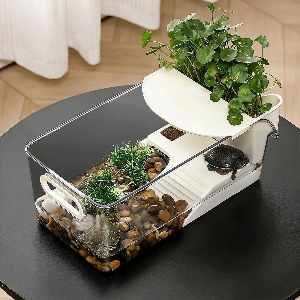 Turtle Tank with Basking Ramp | Desktop Reptile Terrarium Reptile Terrarium Tank Nixie