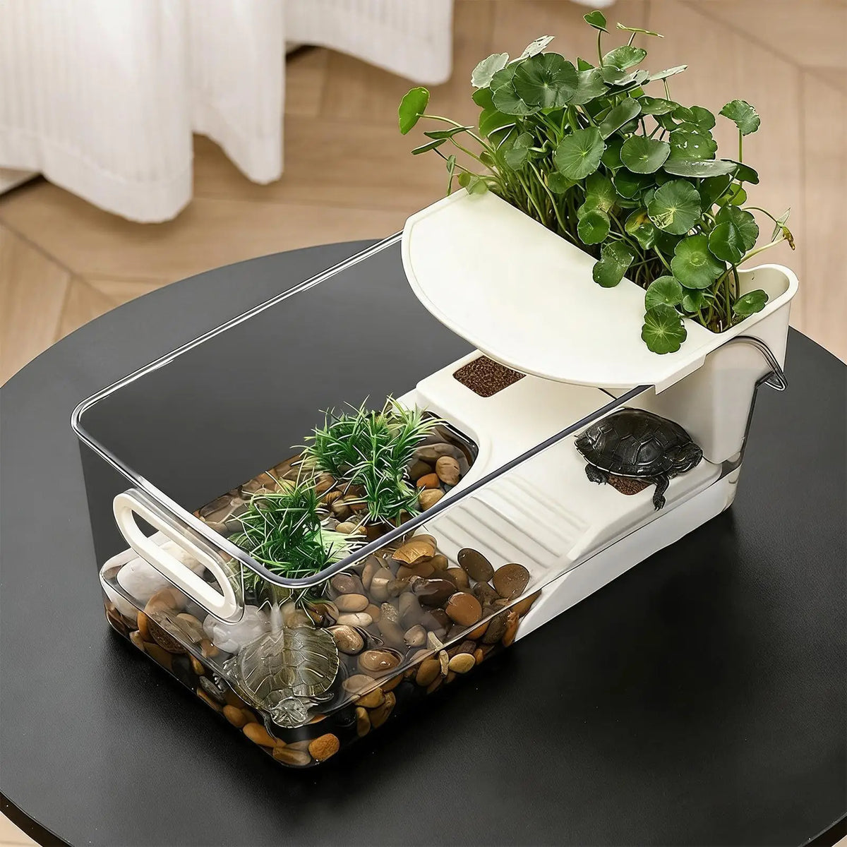 Turtle Tank with Basking Ramp | Desktop Reptile Terrarium Reptile Terrarium Tank Nixie