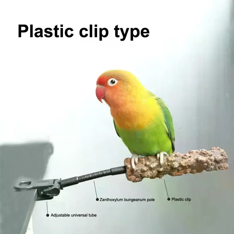 Clip-On Bird Potty Training Perch | Natural Wood Adjustable Bird Training Perch Nixie