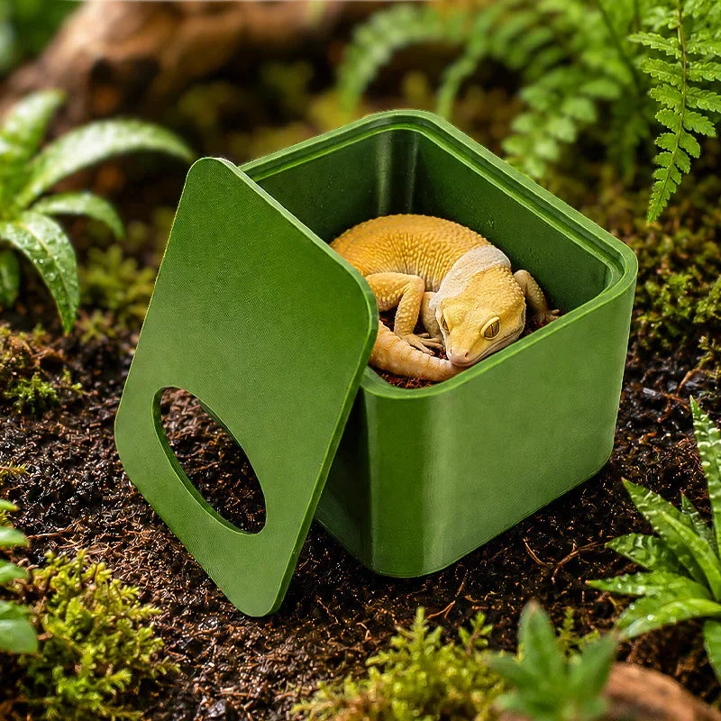 Reptile Humid Hide Cave for Gecko, Skink & Uromastyx | ExuRealm Reptile Humid Hide Nixie
