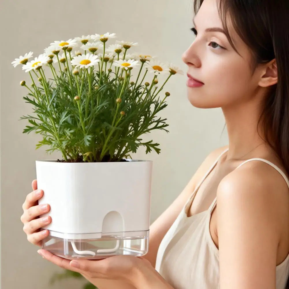 Self Watering Indoor Planter with Reservoir & Drainage Pot