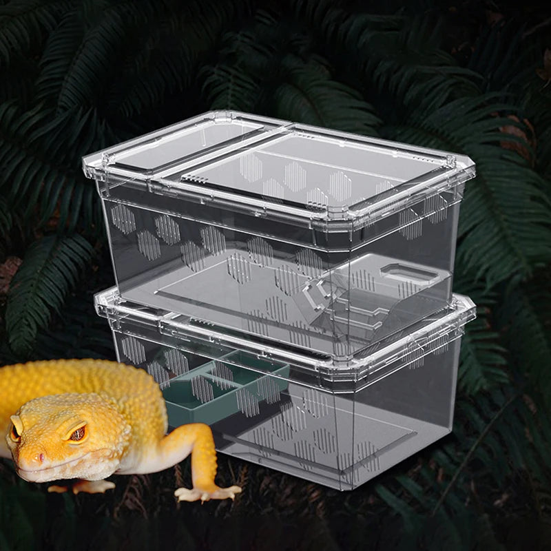 Reptile Breeding Box – Clear Vivarium Tank for Lizards & Spiders Reptile Breeding Box Nixie