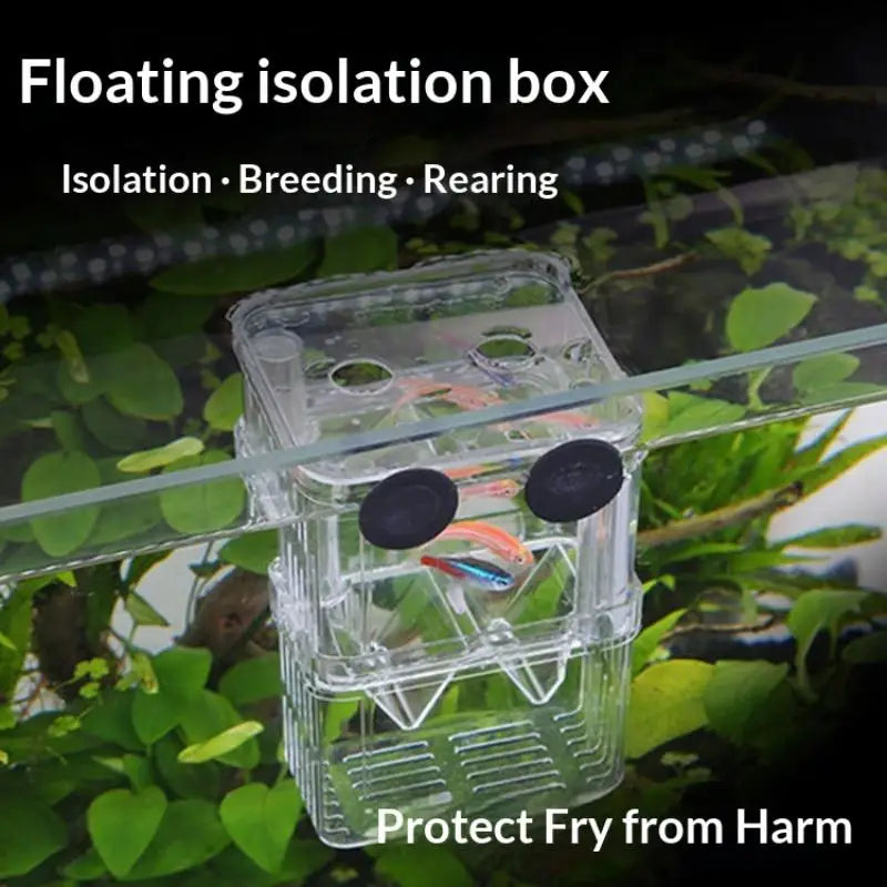 Acrylic Fish Breeding Isolation Box – Aquarium Hatchery Aquarium Breeder Box Nixie