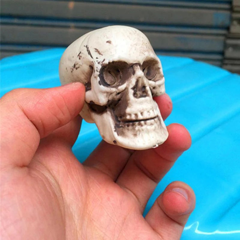 Plastic Skull Figurine Statue – Halloween Skeleton Decor