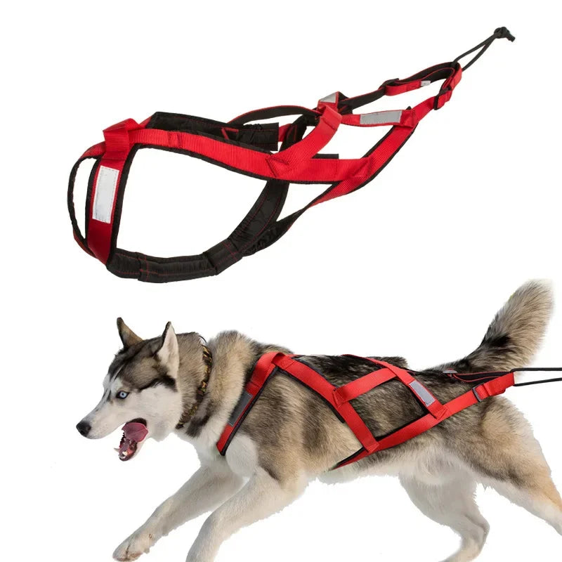 Dog Sled Harness & Weight Training Leash | Husky Scooter Dog Sled Harness Nixie