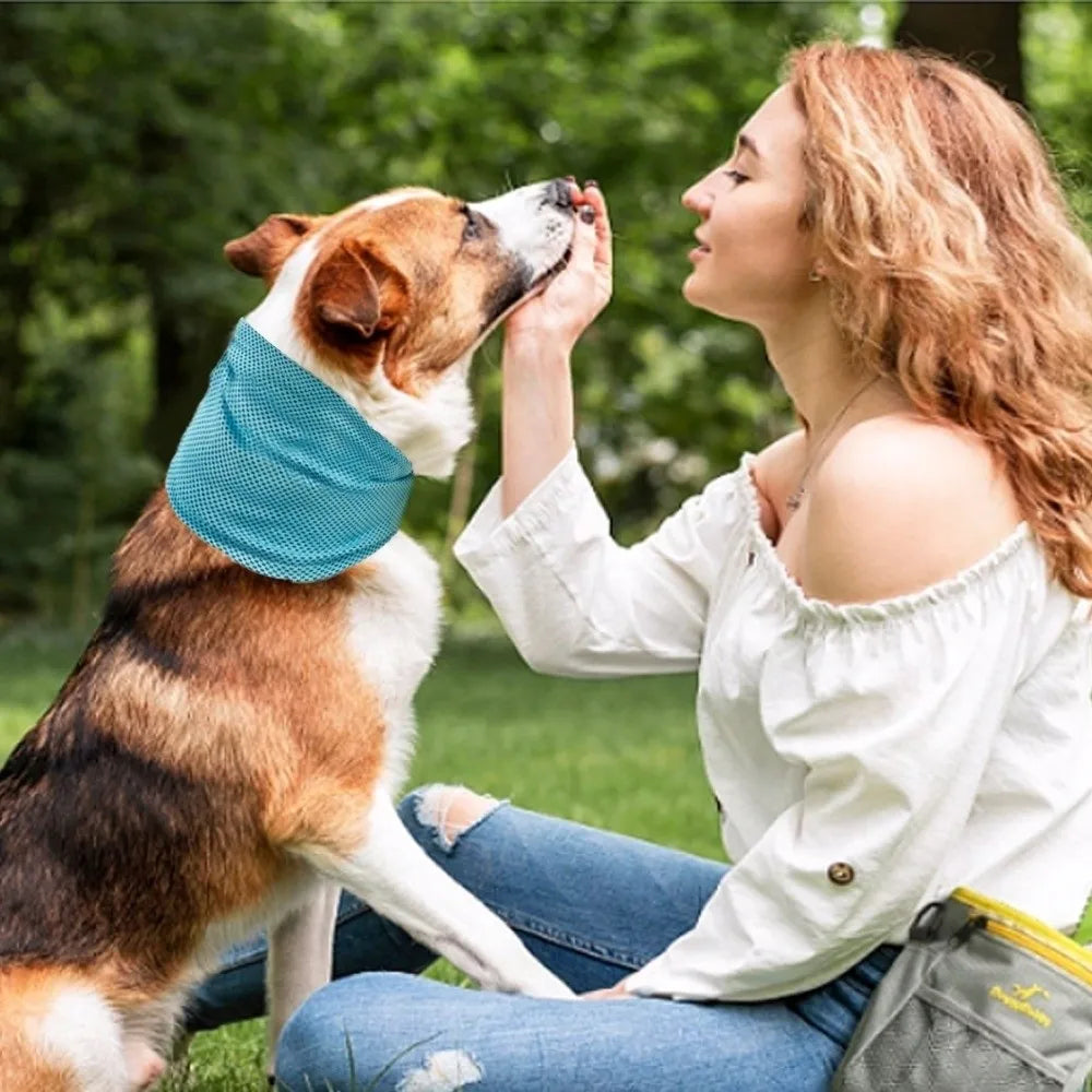 Dog Cooling Towel Scarf with Leash Hole – 3 Sizes | Nixie Pet Cooling Scarf Nixie