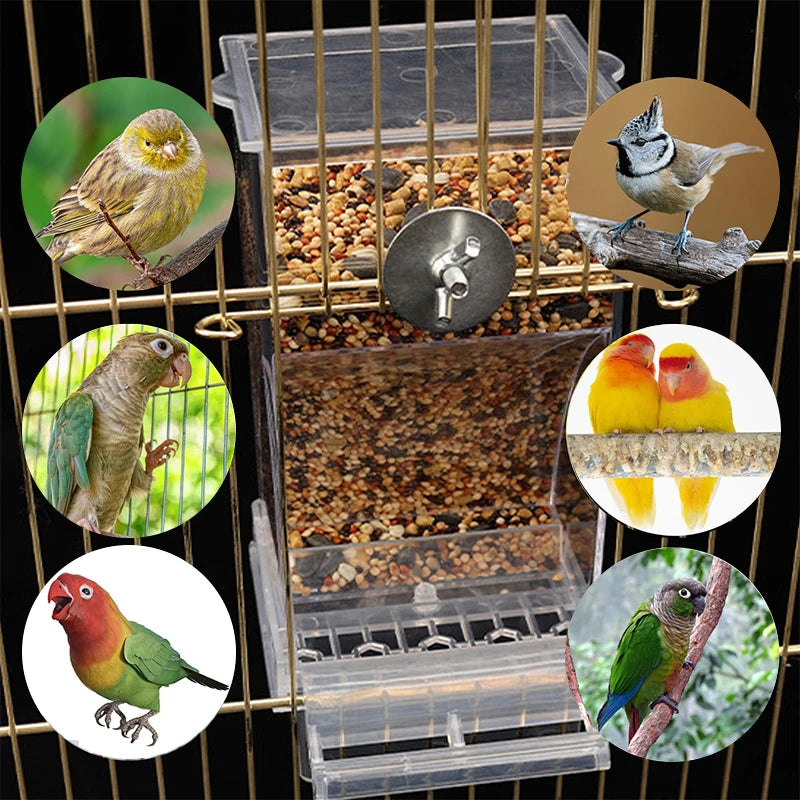 No-Mess Acrylic Parrot Feeder & Water Dispenser with Perch Bird Cage Feeder Nixie