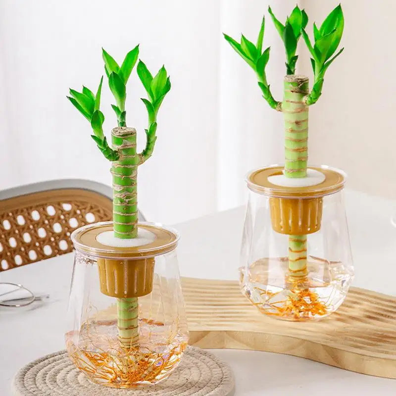Mini Self-Watering Planter Pot – Transparent Plastic Vase Décor Self-Watering Planter Nixie