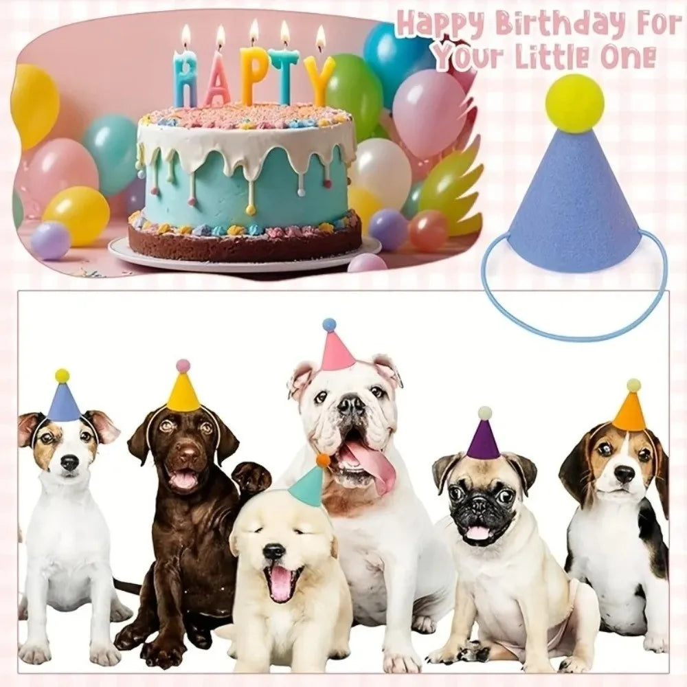 6pcs Mini Colorful Cone Party Hats – Birthday Celebration Set Party Hat Set Nixie