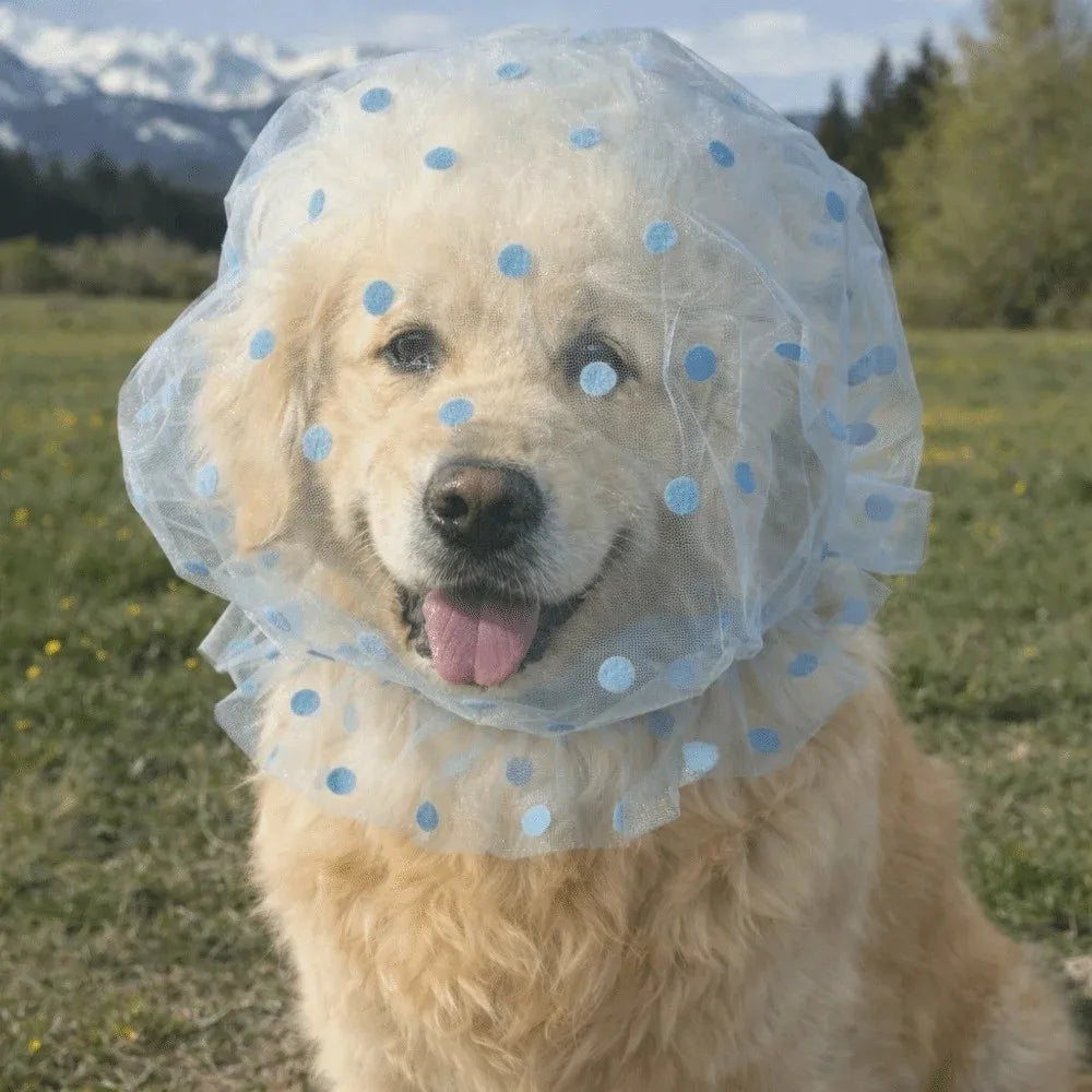 Breathable Dog Protective Mask – Adjustable Anti-Bite Head Cover Pet Protective Mask Nixie