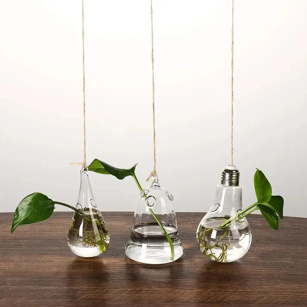 Hanging Glass Vase – Hydroponic Plant Pot, 12 Shapes Hanging Glass Vase Nixie