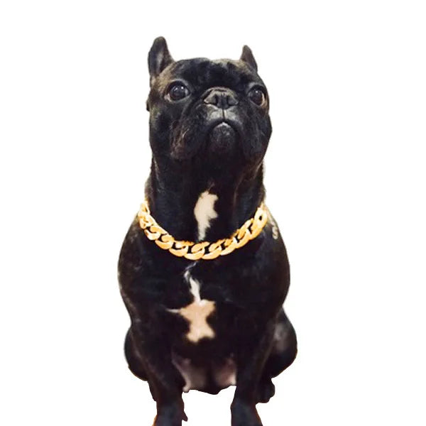 Hip Hop Dog Gold Chain Collar Necklace for Small & Medium Dogs Dog Collar Necklace Nixie