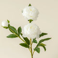 75CM Artificial Peony Silk Flowers 3-Head Long Stem Bouquet Artificial Silk Flowers Nixie White