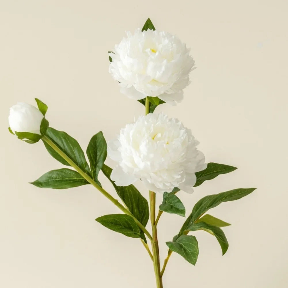 75cm Artificial Peony Silk Bouquet – 3 Heads Long Stem Decor Artificial Silk Flowers Nixie White