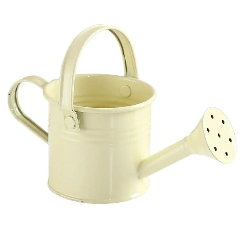 Metal Galvanized Watering Can for Garden – Anti-Rust Iron Pot